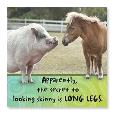 「Pony and Pig」ポニーとぶたさんマグネット