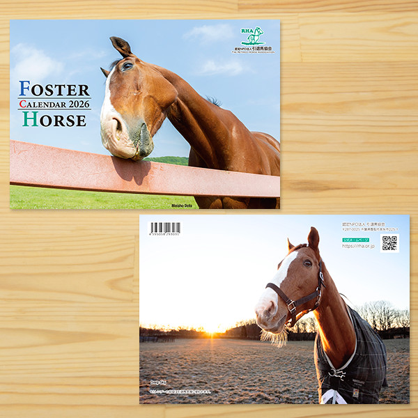 みんなのお買い物レビュー 馬好きさんグッズ「ホース・ファクトリー