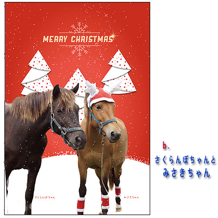 【メール便送料込】ホーストラスト　クリスマスカード B